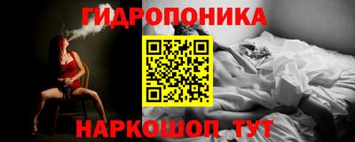 Альфа ПВП Канаш