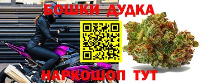 Альфа ПВП Канаш