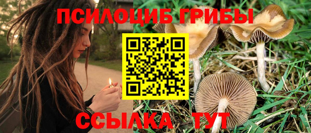 Галлюциногенные грибы MAGIC MUSHROOMS  Вход с VPN  Будённовск 