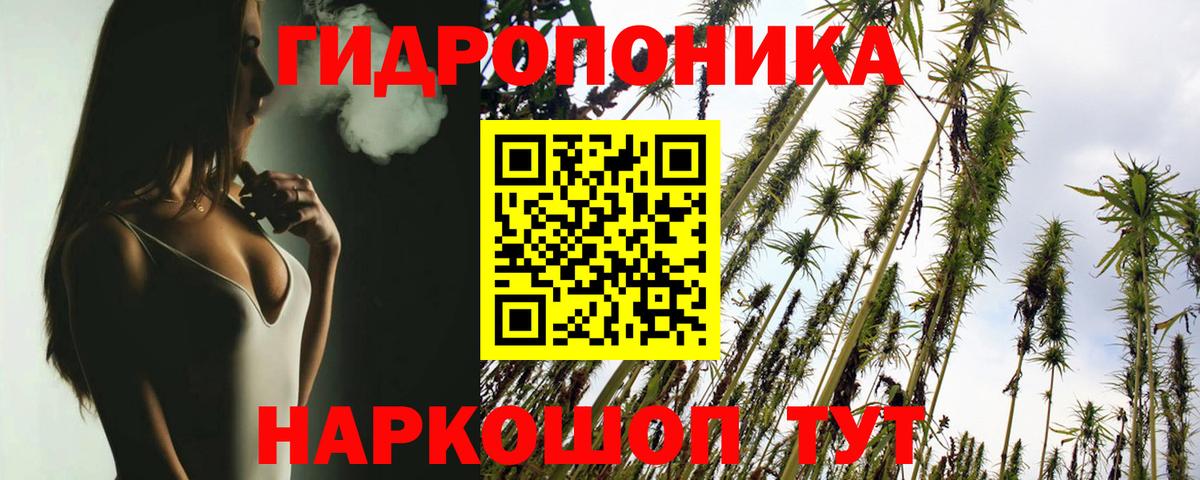 Марихуана конопля Будённовск